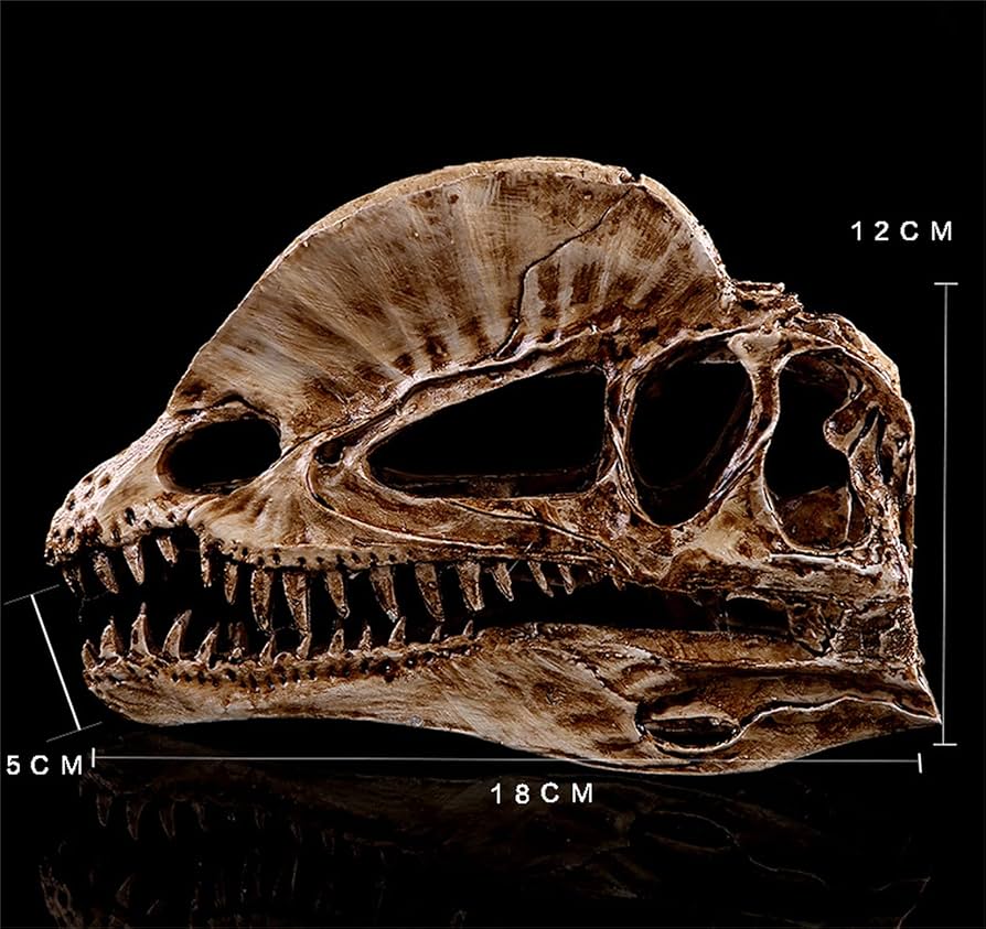 木彫　剣歯虎　ティラコスミルス　頭骨模型　1/2スケール 木彫 剣歯虎 ティラコスミルス 頭骨模型 1/2スケール